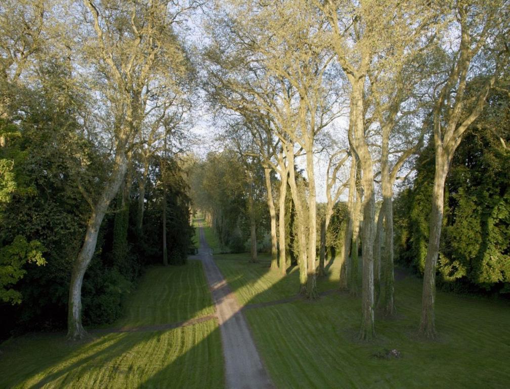 Chateau De Villars Villeneuve-sur-Allier Dış mekan fotoğraf
