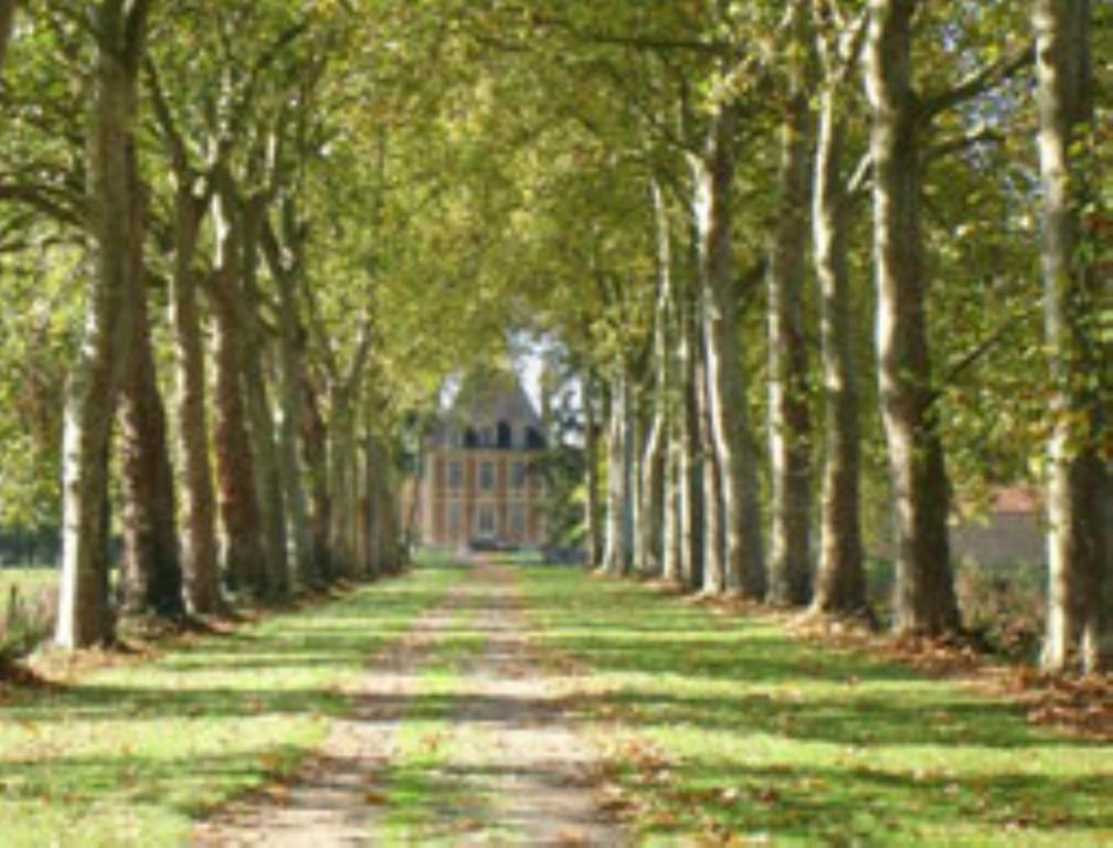 Chateau De Villars Villeneuve-sur-Allier Dış mekan fotoğraf